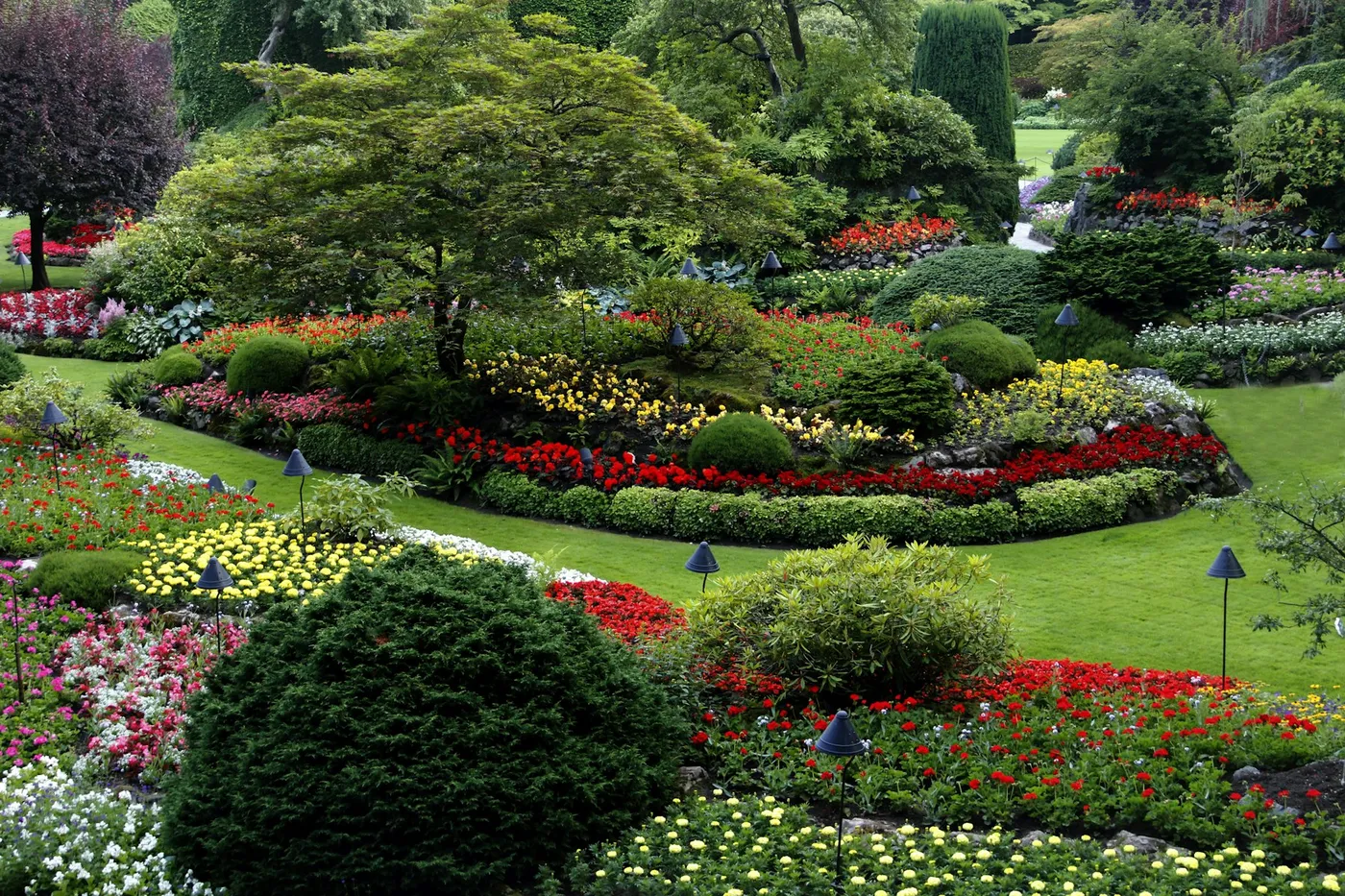Curved flower beds with shrubs and colorful annuals