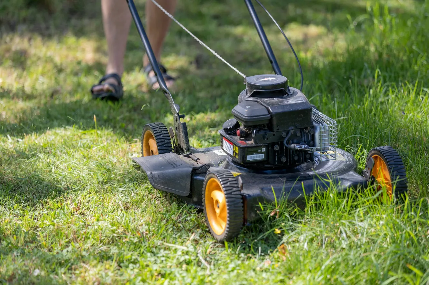 Close-up of a mower cutting thick green grass